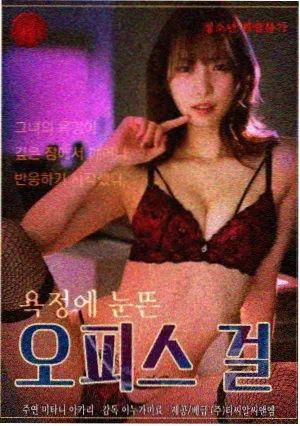 剧集旧地图收集者的手账卡片封面